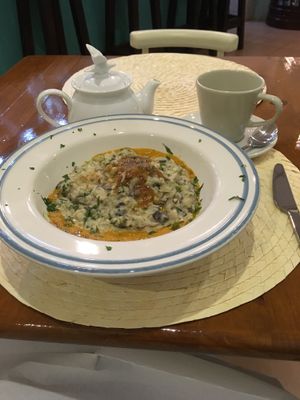 Yummy mushroom risotto  at Bistro 'O Porto in Tavira