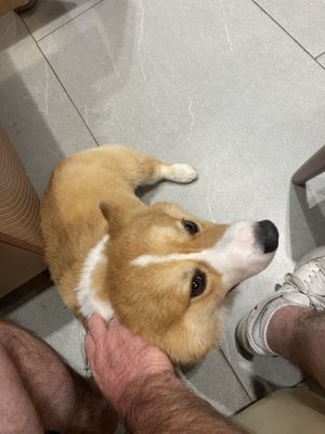   at Happy Place in Ho Chi Minh City