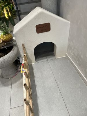   at Happy Place in Ho Chi Minh City