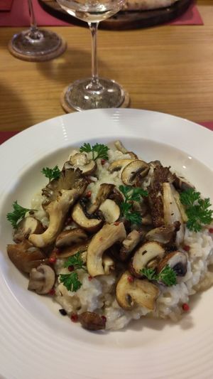 Mushroom Risotto at Vegane Gastrothek Charisma in Radolfzell