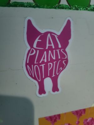  at GAL Cafe in Lisbon