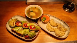 Fresh Rolls-Wonton Soup-Momo dumplings at TAB - TakeABreak in Porto
