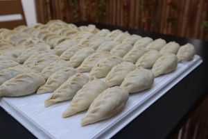 Homemade Vegetarian Dumplings at TAB - TakeABreak in Porto