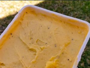 Vegan maromanga at Menosduz Sorveteria in Londrina