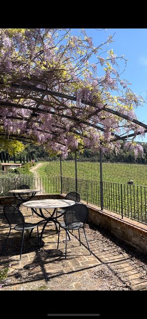 Wisteria-shaded sun terrace at Podere Sole in Tuscany at Podere Sole in Trequanda