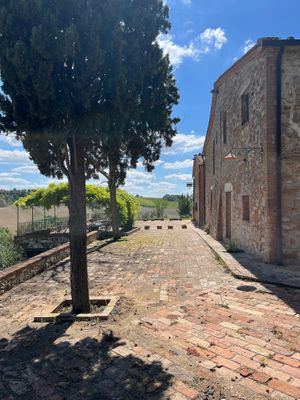 Sun terrace  at Podere Sole in Trequanda