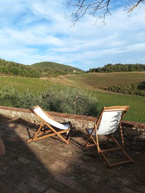 No comment  at Podere Sole in Trequanda