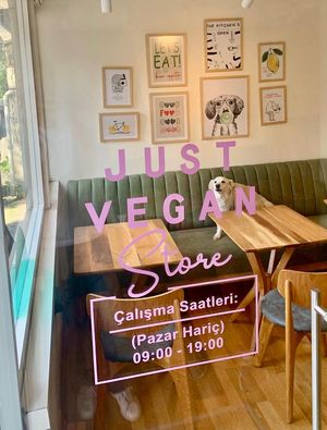   at Just Vegan Store in Istanbul