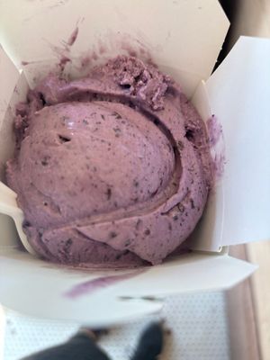 Vegan Blueberry at The Franklin Fountain in Philadelphia