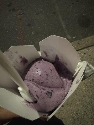 Blueberry  at The Franklin Fountain in Philadelphia