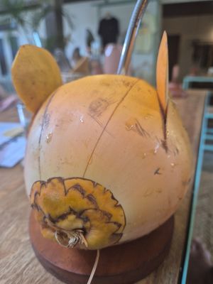  at Flow Café Weligama in Weligama