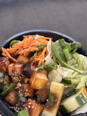 Spicy tofu teriyaki wasn’t too bad.  at Gachi Sushi & Noodles in Boston