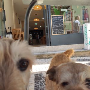 Lola e Chiquinha at Verde Hut in Porto