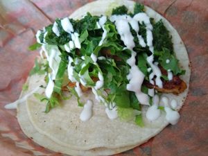 Chimichurri Tempeh Taco at Taco Party in Somerville