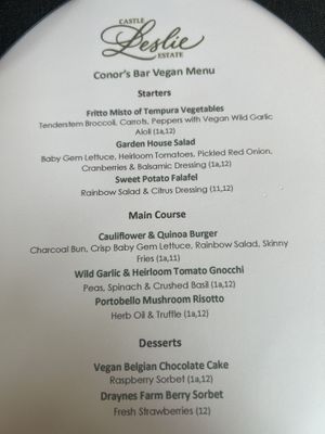 Vegan menu 3/11/24  at Conor's Bar & Lounge at The Lodge - Castle Leslie in Monaghan