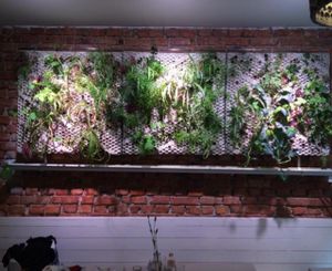 nice atmosphere (-( at Matapoteket in Stockholm