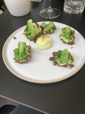   at WILLICHS in Mainz