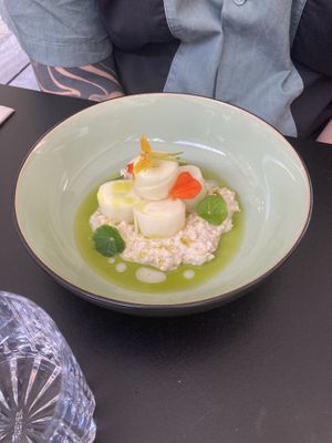   at WILLICHS in Mainz