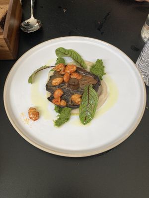   at WILLICHS in Mainz