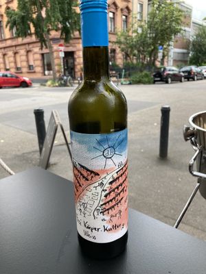   at WILLICHS in Mainz