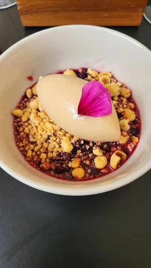  at WILLICHS in Mainz