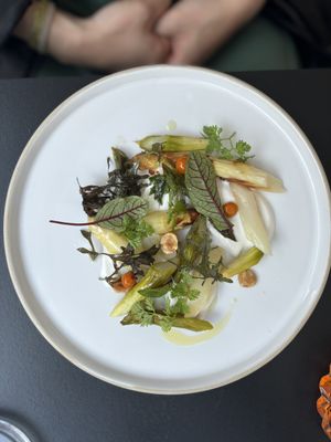   at WILLICHS in Mainz