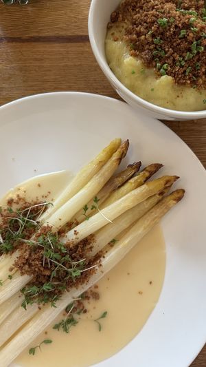   at WILLICHS in Mainz