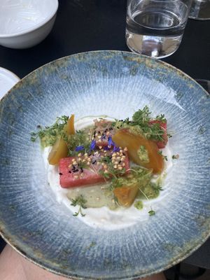   at WILLICHS in Mainz