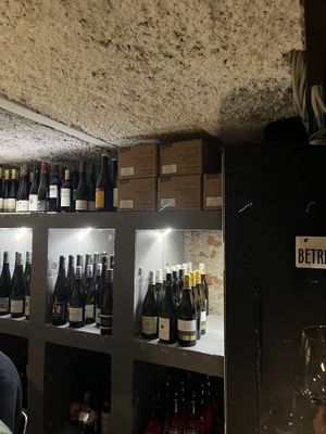   at WILLICHS in Mainz