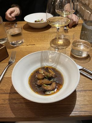   at WILLICHS in Mainz