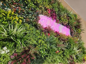  at Pho Co Vietnamese Kitchen in Neuss