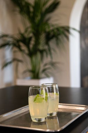 Bios Santorini, Vegan Boutique Hotel welcome at The Noverian Bios Santorini, Vegan Boutique Hotel in Santorini