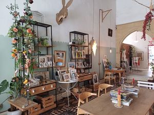 Comfy at Luna Cafe Art Shop in Nicosia