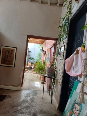 Fun at Luna Cafe Art Shop in Nicosia