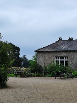  at Treo Coffee Co - Kiosk in Dublin