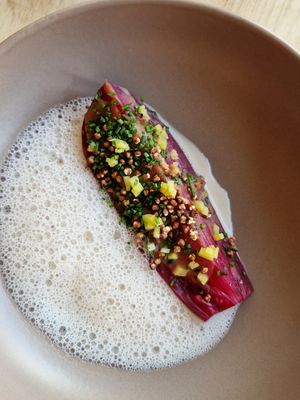  at Nevel in S-hertogenbosch