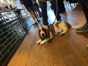   at Oat and Bean in Cardiff