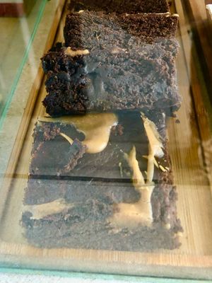 Peanut butter brownies  at Seed  in Belfast