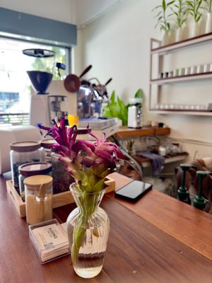  at Blessings Home & Café in Koh Phangan