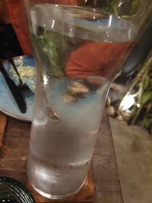  at Ver De Siargao in Siargao