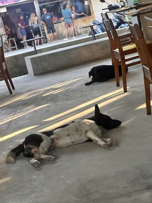   at Ver De Siargao in Siargao