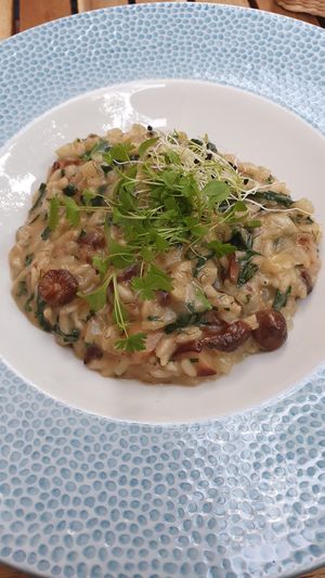  at Soul Kitchen in Sofia