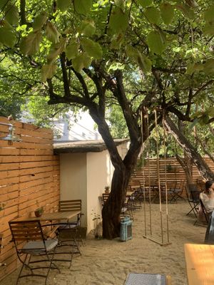   at Soul Kitchen in Sofia