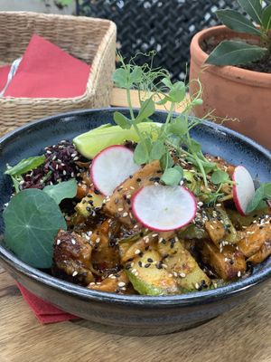   at Soul Kitchen in Sofia