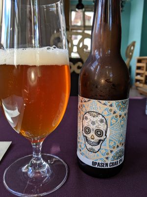vegan beer at Soul Kitchen in Sofia