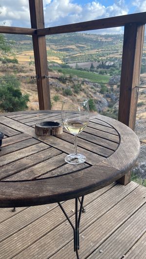 View from Qadan verandah. at Yurts in Cyprus in Simou