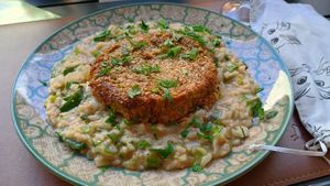  at Ginger: Cat Café in Bauru