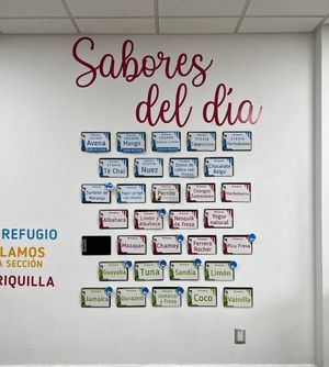 Vegan flavors are those with a blue pin of a head on top, or those indicated by the type of plant-based milk they were made with.  at Helnie in Queretaro