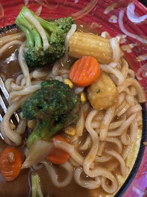 Udon Steamed Vegetable Curry  at Curry Life in San Jose