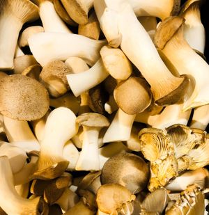  at Maran Vegan in Vienna